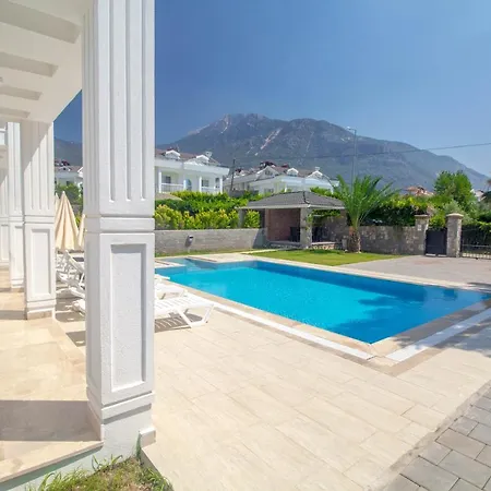 Hanimeli Villa, Oezel Havuzlu, ヴィラ